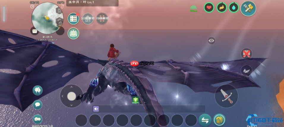 私人王国蓝图：自建服务器终极自由指南