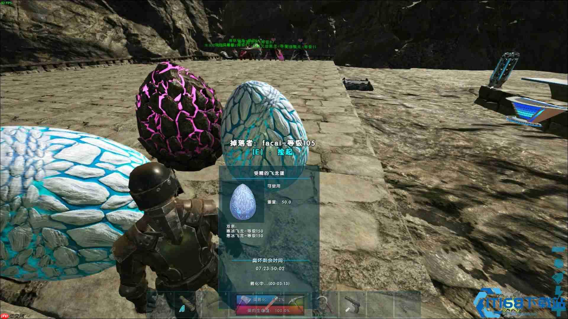 冰飞龙征服指南：从偷蛋到吐息的极寒霸主之路