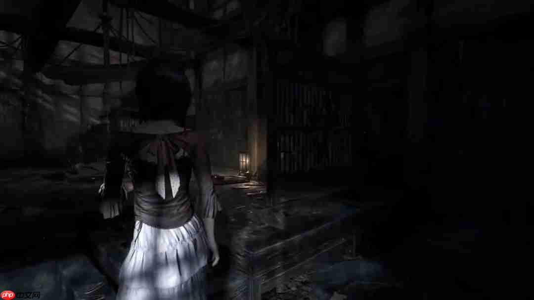 《零红蝶：重制版》新实机演示 姐妹牵手探索