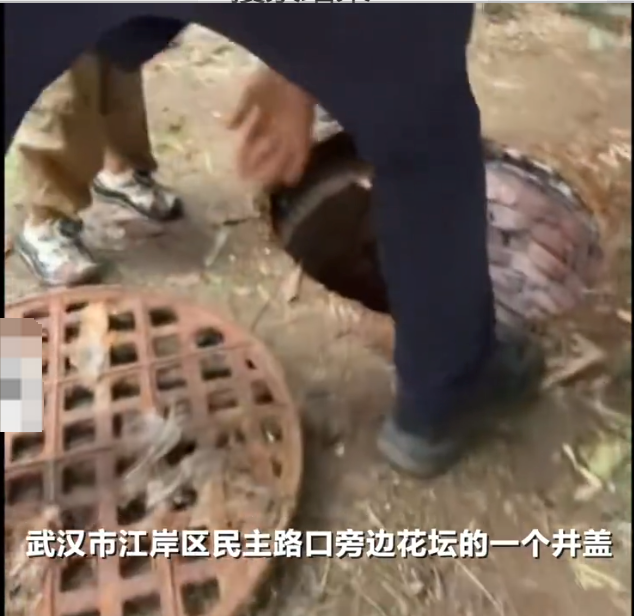 武汉一男童踩翻井盖坠下水道被父亲救起是怎么回事？详情介绍 - php中文网