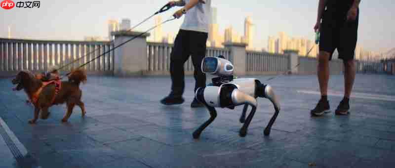 维他动力赵哲伦：具身智能的“无遥控”时代已来，中国机器人产业迎来黄金十年