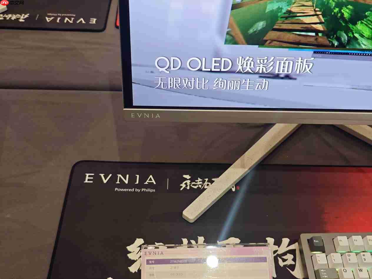 AI焕视，E飞冲天——2025年飞利浦显示器全国操盘手大会隆重召开！