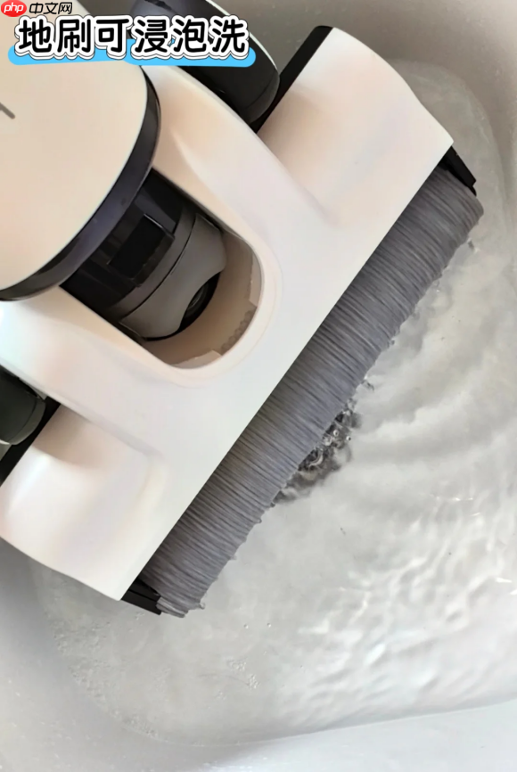 洗地机与吸尘器终极科普：功能、差异与选购全指南