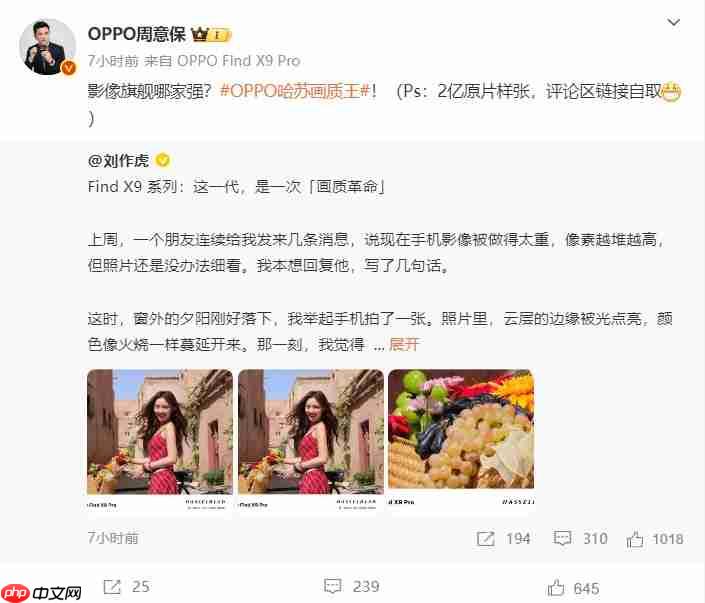 画质革命！OPPO Find X9系列释出2亿像素样张