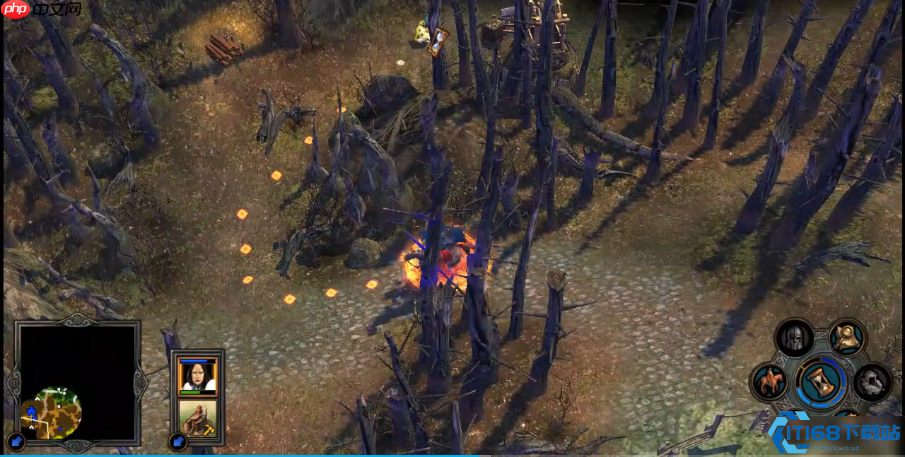 英雄无敌水系女王伊丽莎白：从控场到爆发的完美加点路线