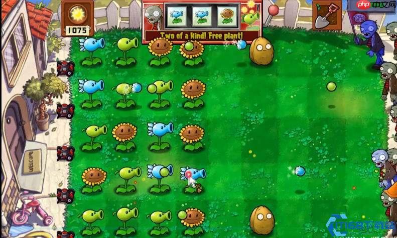 植物大战僵尸95版终极攻略：疯狂难度下的生存艺术