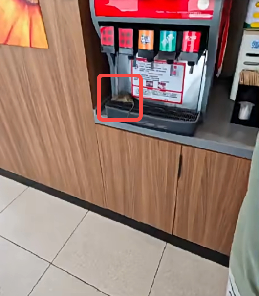 男子将死老鼠放饮料机上被刑拘是怎么回事？详情介绍