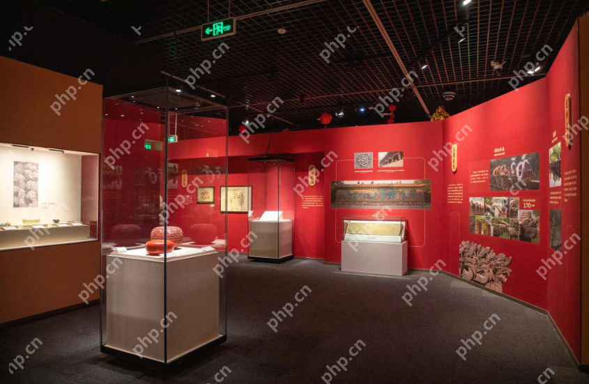 三星堆“龙的国度”大展开幕！青铜龙、玉龙等百余件文物重磅亮相，溯源中华龙文化 - php中文网