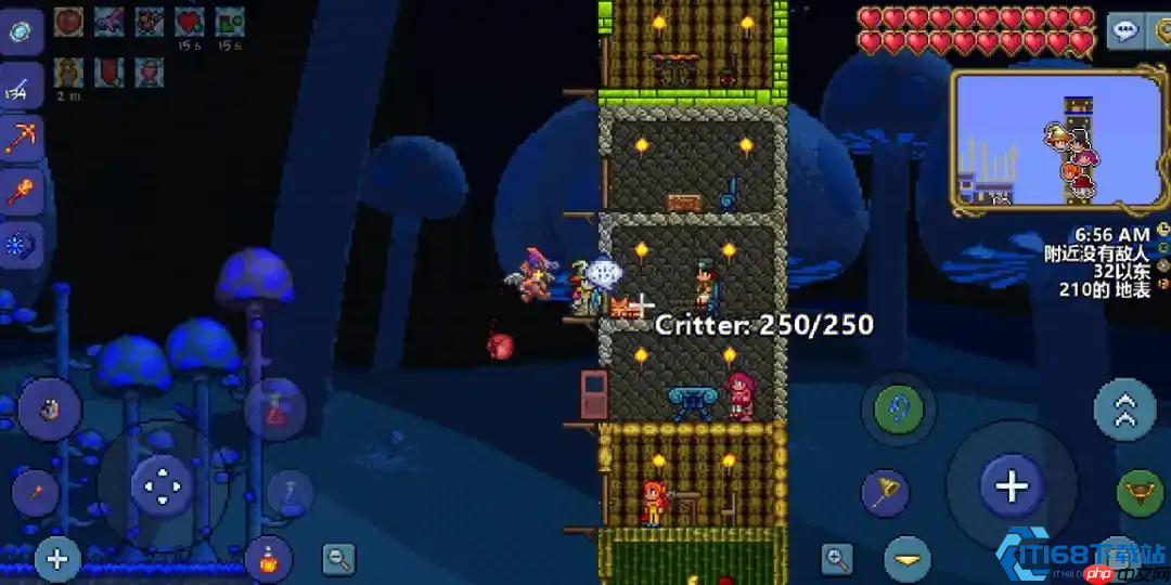 泰拉瑞亚照明宠物攻略：发光小伙伴全收集指南