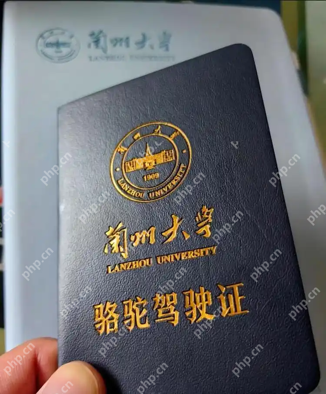 学生持证骑骆驼上学?兰州大学回应 - php中文网