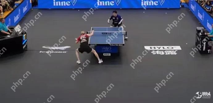 樊振东德甲首秀失利，俱乐部发文鼓励 - php中文网