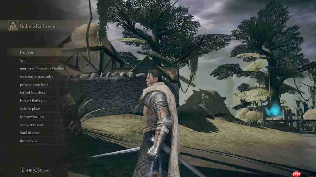 告别马赛克时代！《老滚》在《法环》引擎里重获新生