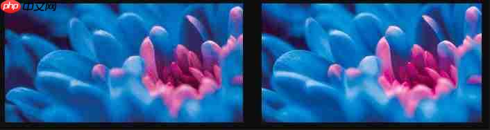 4K影院新突破！爱普生专业家庭影院CH-LS9000带来专业审片级体验