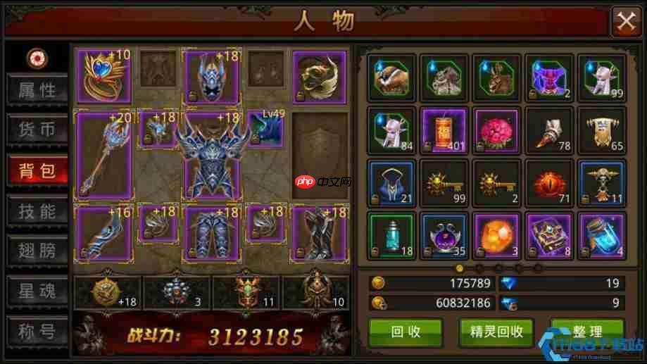 游戏顶级饰品全攻略：成就荣耀与实战搭配指南