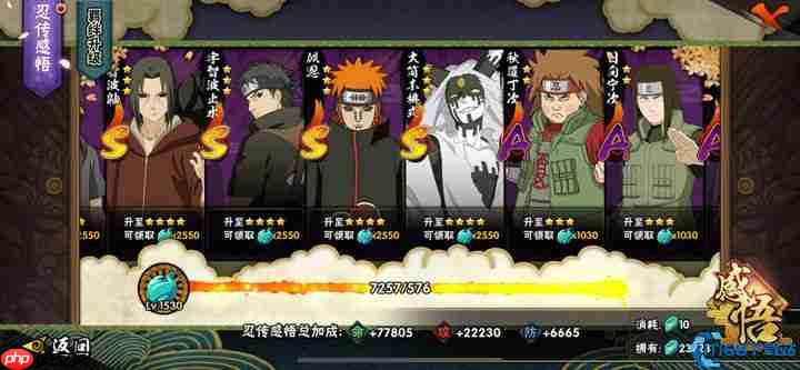 引力主宰战场！佩恩技能连招与绝对压制全攻略