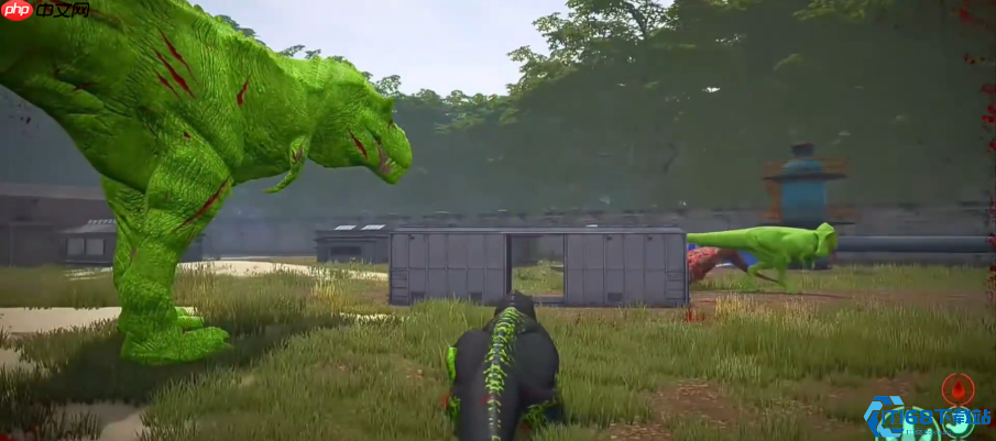 神龙进化指南：解锁远古龙魂的终极力量