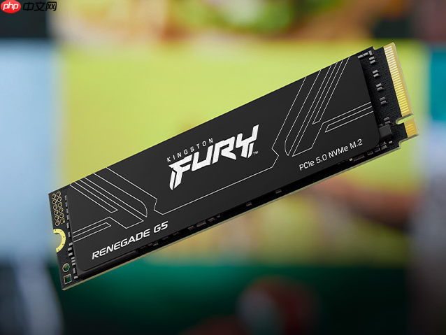 速度为王KingstonFURY PCIe 5.0 NVMe固态硬盘