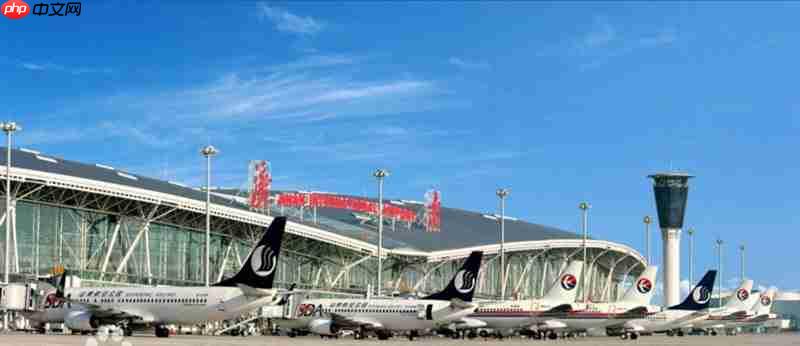 活字格低代码赋能机场智慧运营，数智化转型实践新路径