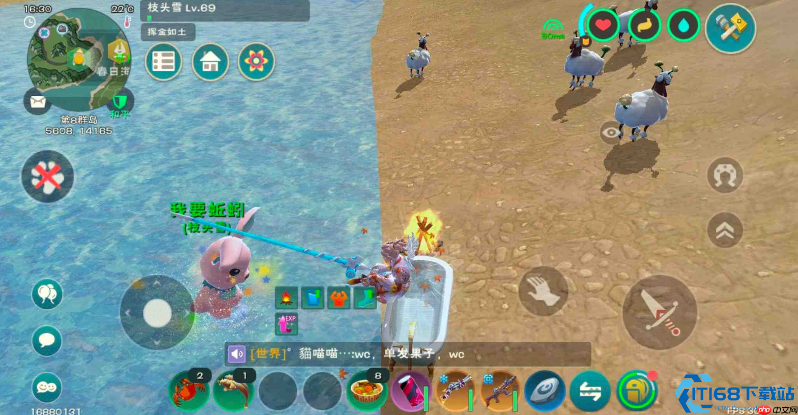 弹涂鱼饲料包终极指南：从钓鱼到驯服顽皮蝾螈