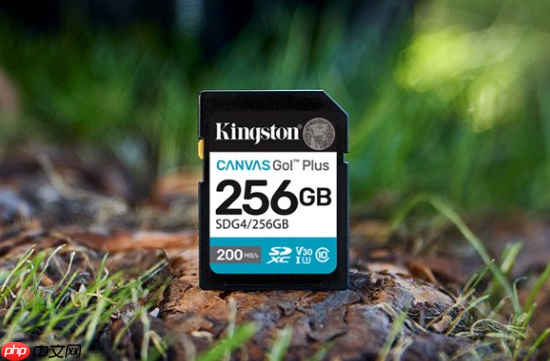 一卡走天下 金士顿Canvas Go！Plus系列存储卡