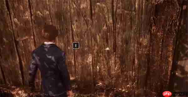 光与影33号远征队隐藏宝藏！刷头精赌徒轮盘赌速取指南