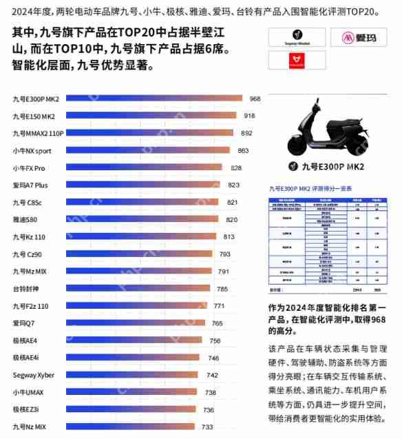 鲁大师2024年两轮电动车行业调研报告