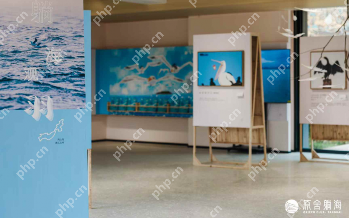 玉环市“海屿岛”生活季暨鸡山理想村“想开计划”活动启动！