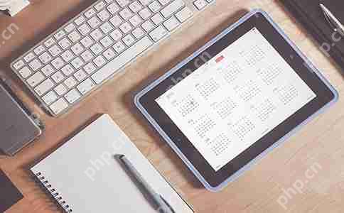 政务类应用开发一般用什么语言比较好？