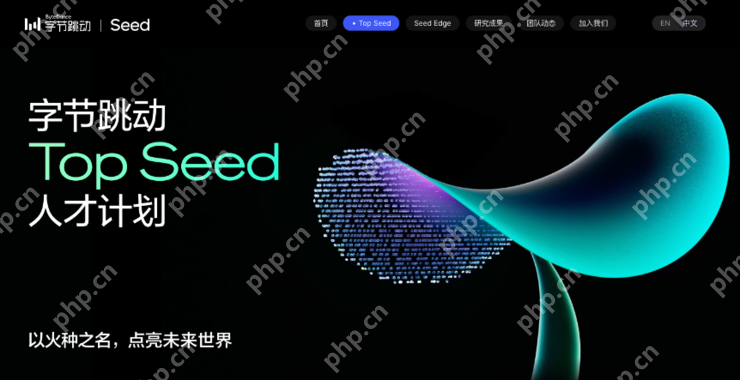 字节启动Top Seed大模型顶尖人才计划2026届校招