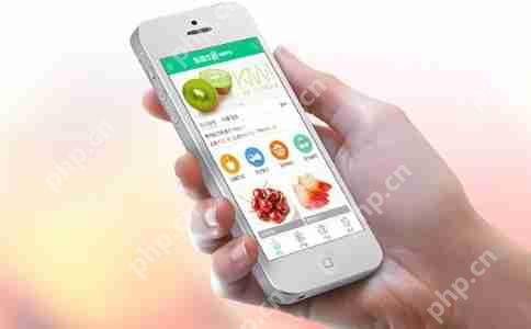 商城app开发多少钱？影响电商app开发费用的4大关键