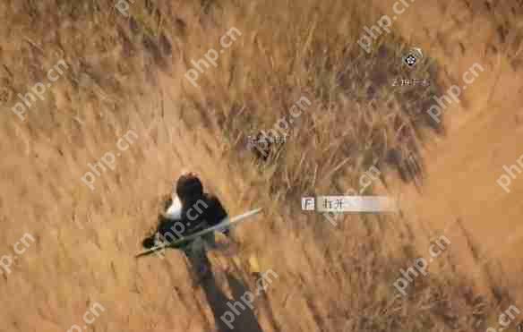 燕云十六声借条奇遇全流程攻略：迷津渡探秘指南