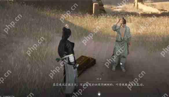 燕云十六声红缨任务全流程详解：轻松获取染血红缨攻略