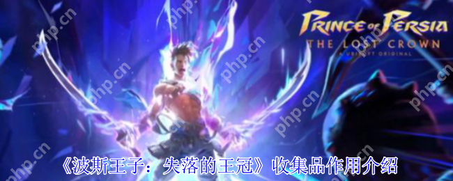 波斯王子失落的王冠全收集品作用解析与获取指南