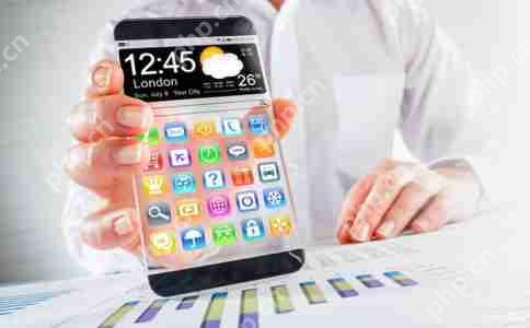 探索应用开发的无限可能：三维解剖学的魅力