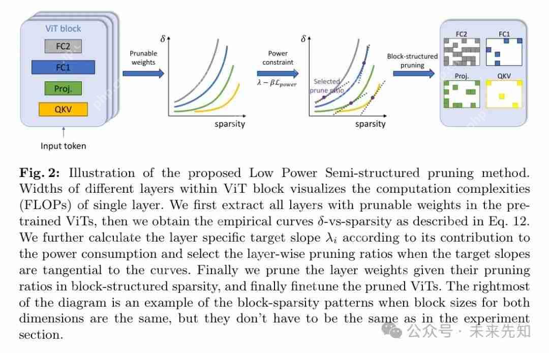 从 DeiT-B 到 DeiT-S，块结构化剪枝在深度 ViTs上 的应用 ！