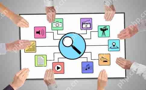 软件接口安全防止漏洞和保护数据策略