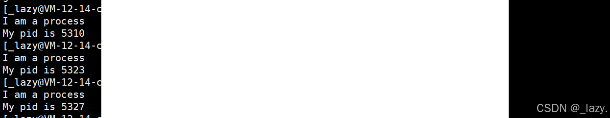 初识Linux · 进程（2）