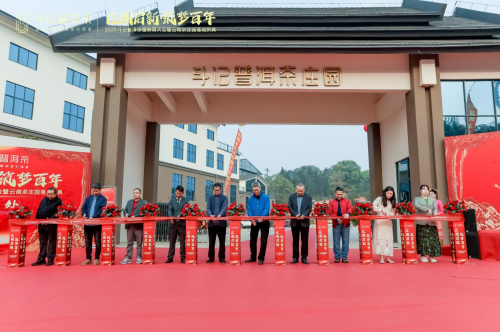 从茶园到茶杯！斗记普洱茶庄园扎根云南，百年愿景引领行业新未来