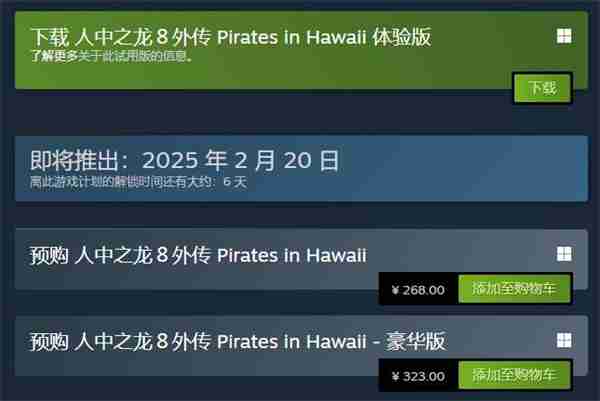 《如龙8外传：夏威夷海盗》上线试玩Demo 存档无法继承