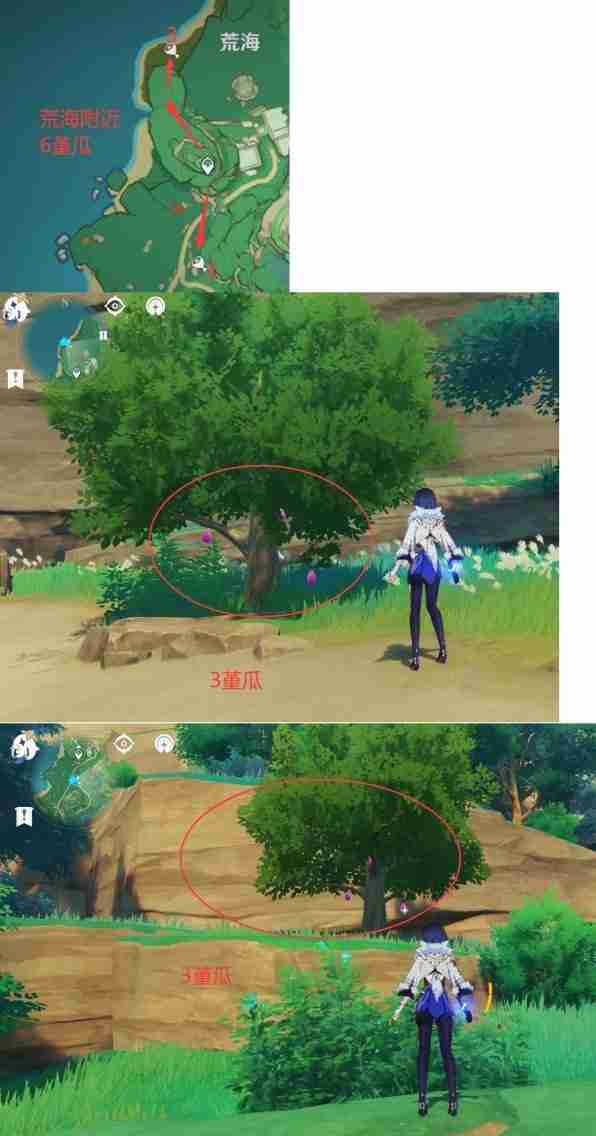 《原神》堇瓜点位分享-堇瓜采集线路推荐