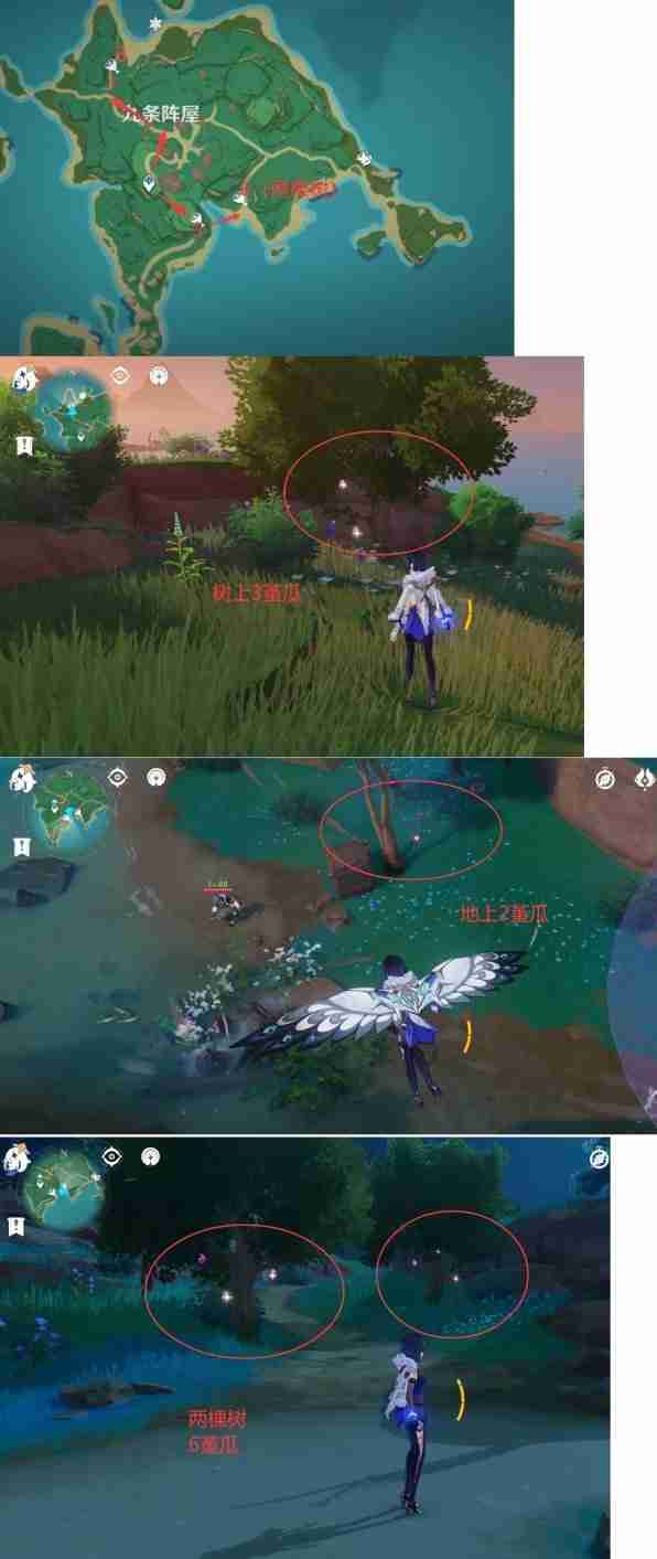 《原神》堇瓜点位分享-堇瓜采集线路推荐