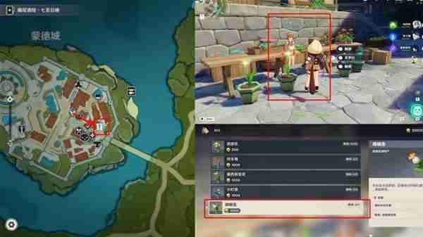 《原神》嘟嘟莲采集路线推荐