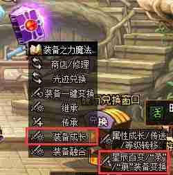 DNF奶系大小百变详细指南