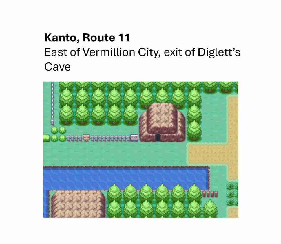 宝可梦TCG Pocket卡牌插画揭示与火红·叶绿的深度关联