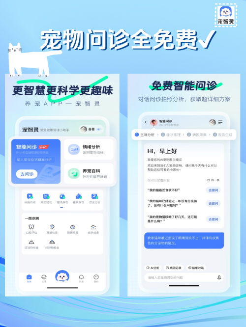 宠智灵APP正式上线，技术创新与智能服务，打造宠物护理新方式