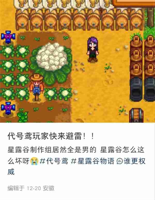 《星露谷物语》遭“赛博殖民” Steam版主发布中文公告