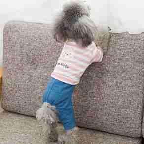 嬉皮狗宠物服装哪个型号好？嬉皮狗宠物服装热卖产品推荐