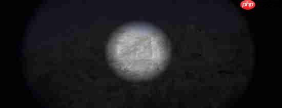 《荒野大镖客：救赎2》7年彩蛋确认存在！官方人员称并未被删减