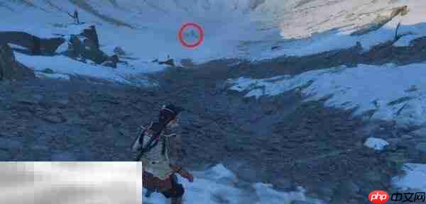 羊蹄山之魂羊蹄山神社祭坛在哪里 羊蹄山神社祭坛位置详情