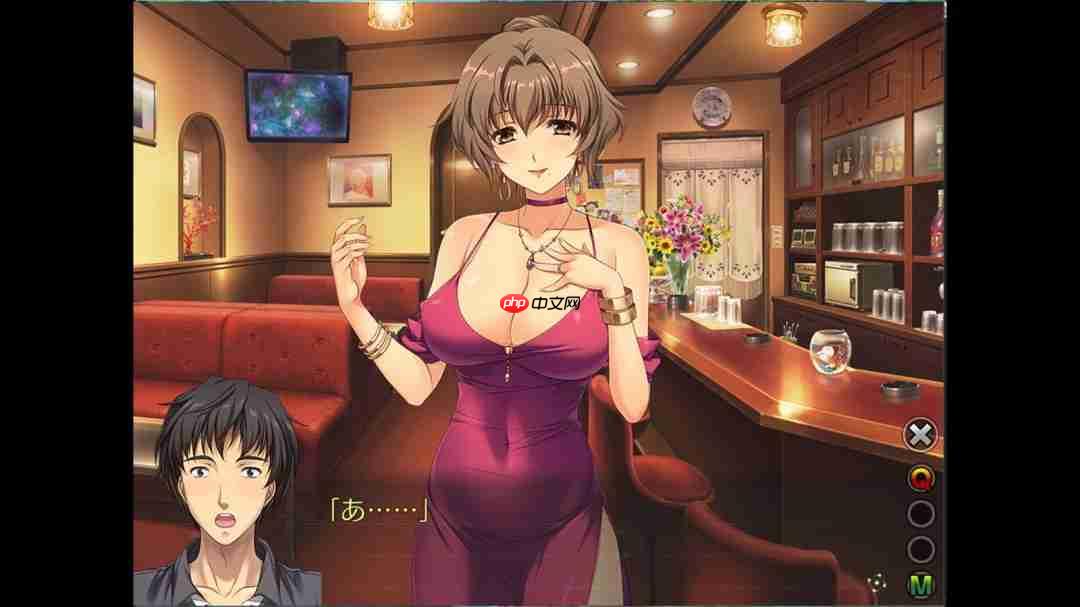 A社作品大放送！ 《妻中蜜3》开放Steam商店页面